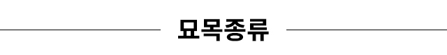묘목종류