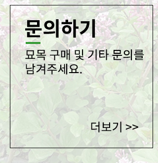 문의하기